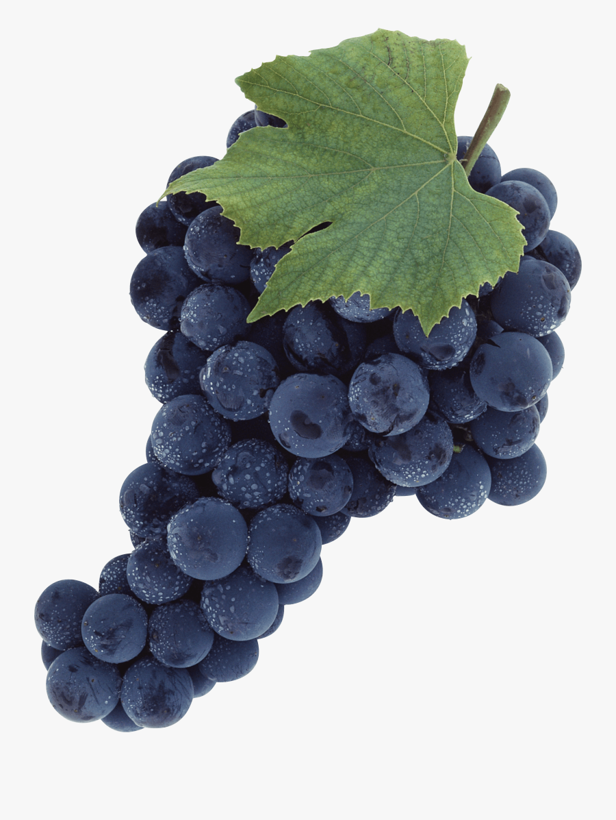 Grape Clip Art - Black Grapes Png, Transparent Clipart