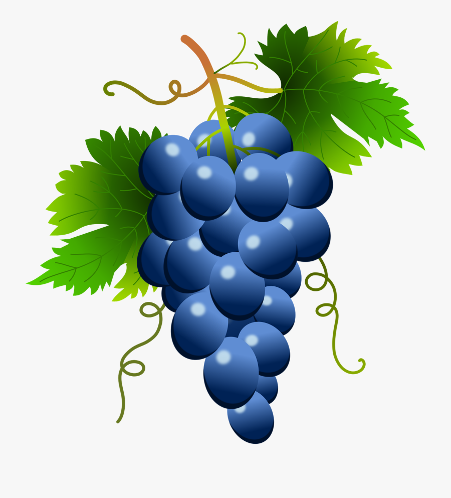 Grapevine Clipart, Transparent Clipart