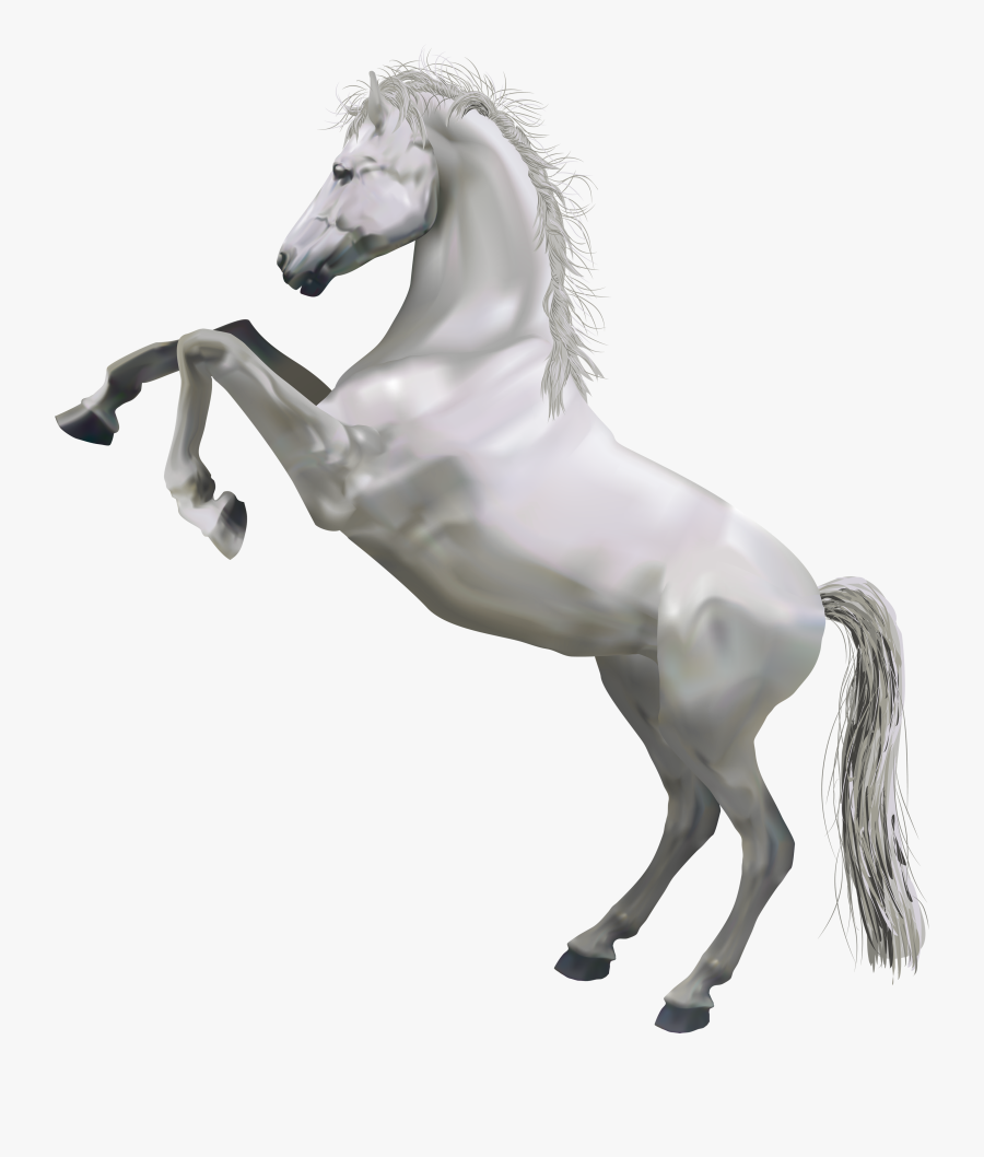 Transparent Race Horses Clipart - White Horse Png, Transparent Clipart
