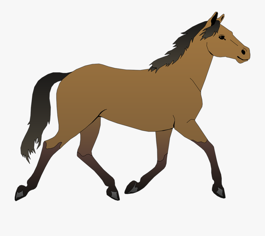 Horse 48394 640 Horse Clipart- - Cartoon Pictures Of Horse, Transparent Clipart