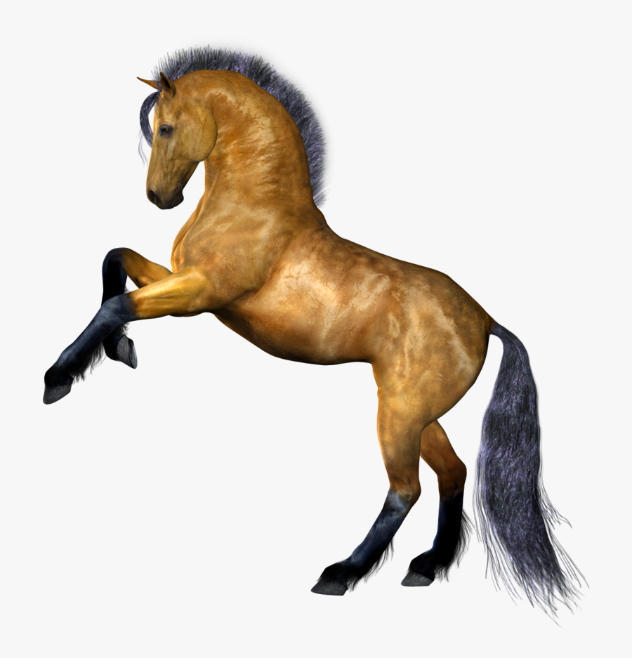 Clipart Png Horse Best - Horse Png Images Download, Transparent Clipart