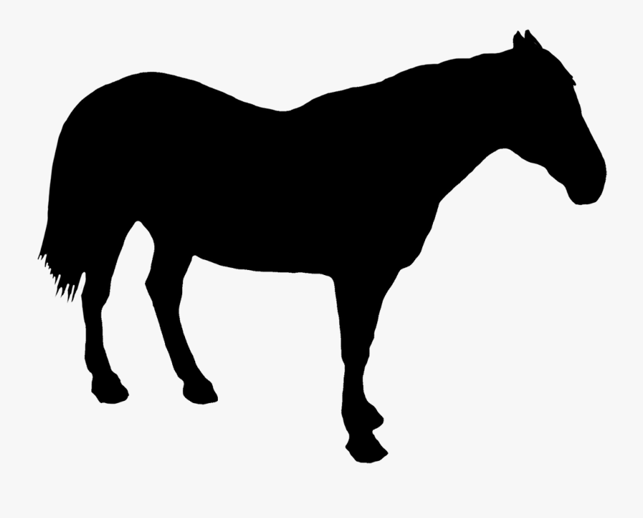 Horse Standing Silhouette Clipart , Png Download - Standing Silhouette Horse, Transparent Clipart