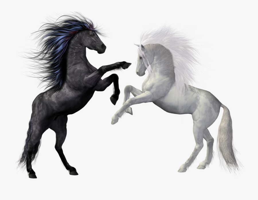 Transparent Timid Clipart - Transparent Background Horse Png, Transparent Clipart