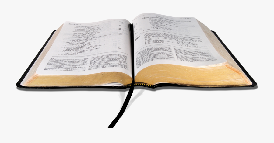 Bible Transparent Png Pictures - Bible With No Background, Transparent Clipart