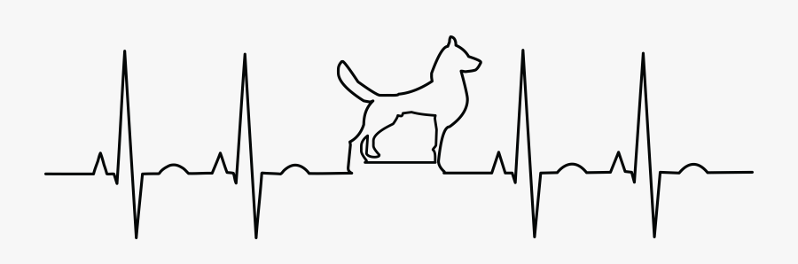 Free Clipart Of A Dog Ekg - Ekg Dog, Transparent Clipart