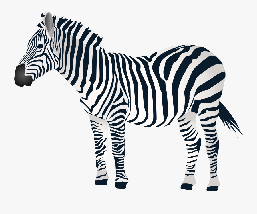 Zebra Png Clip Artu200b Gallery Yopriceville, Transparent Clipart