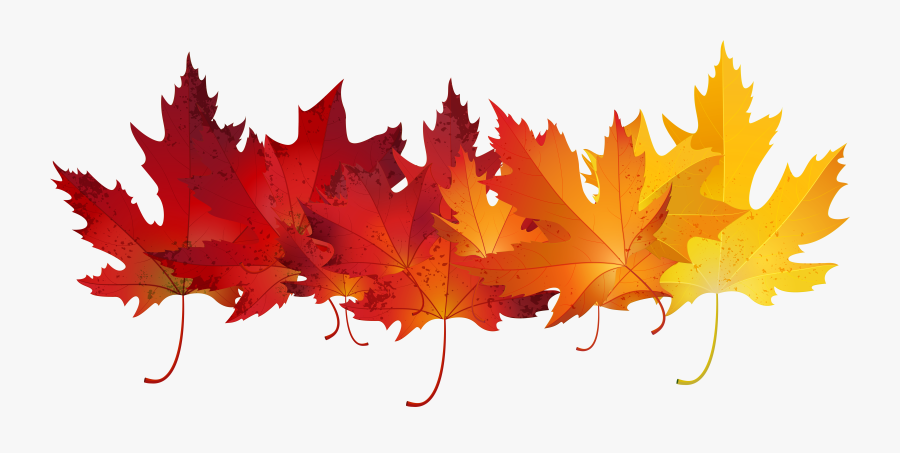 Autumn Leaves Clipart Transparent Background, Transparent Clipart