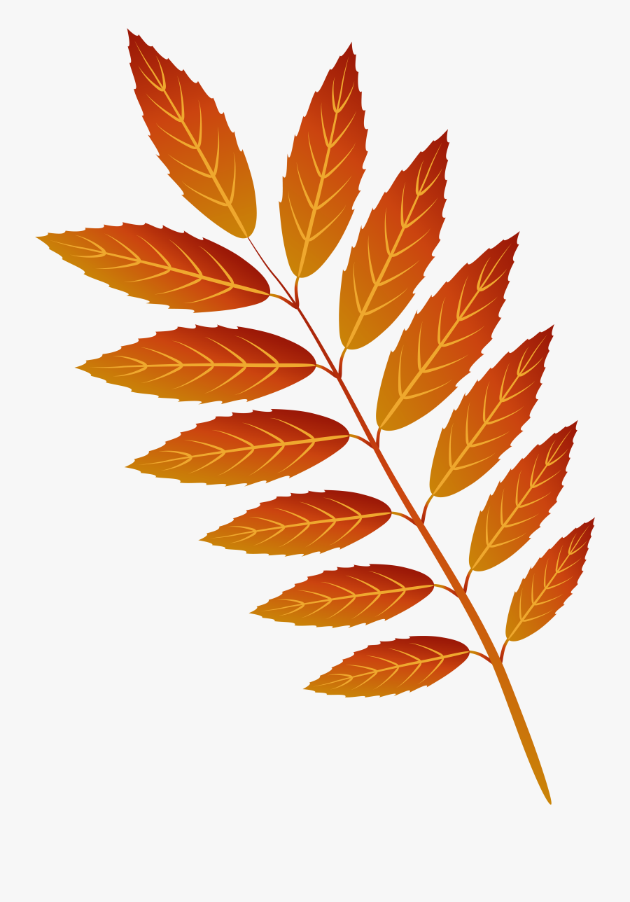 Leaf Cliparts Png Orange - Art Autumn Leaf Png, Transparent Clipart