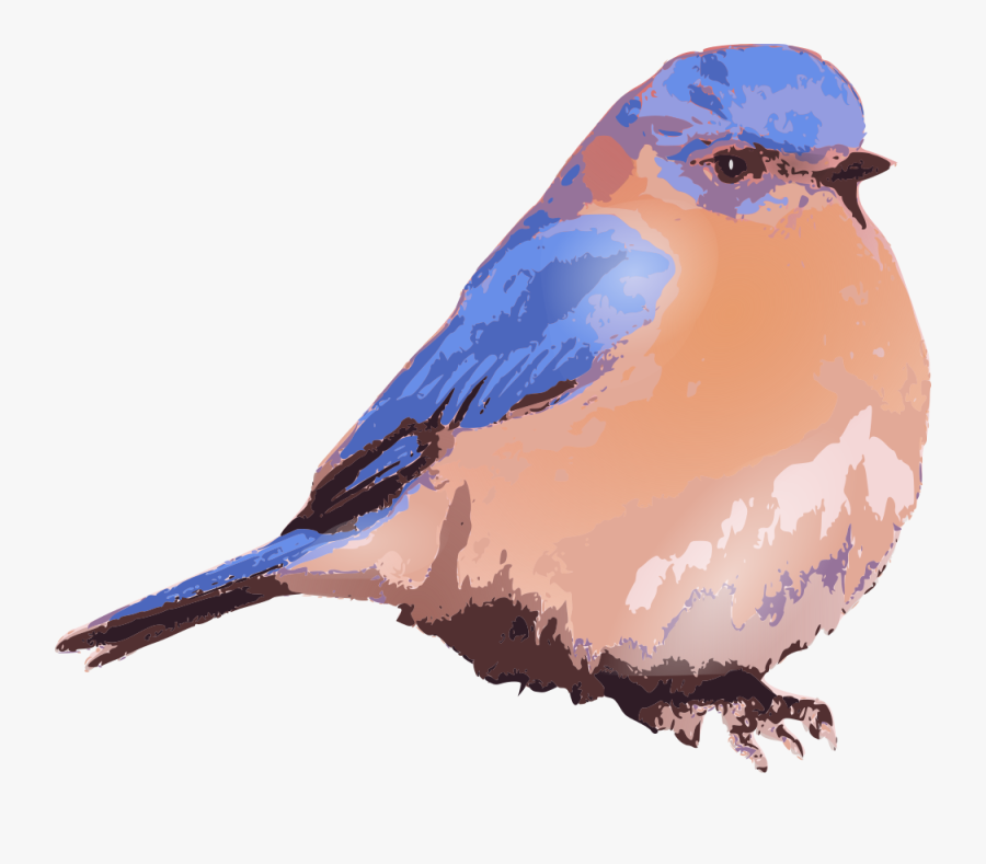 Eastern Bluebird - Blue Bird Transparent Background, Transparent Clipart