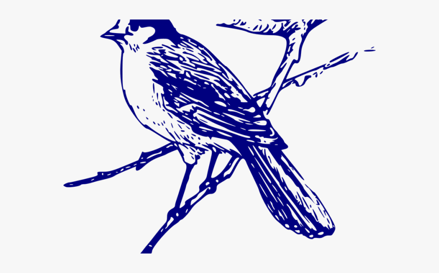 Transparent Blue Jay Png - Maya Bird Drawing, Transparent Clipart