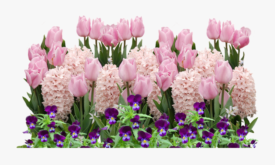 Spring Tulips Easter Flower Flowers Spring Flower - Easter Spring Flowers, Transparent Clipart