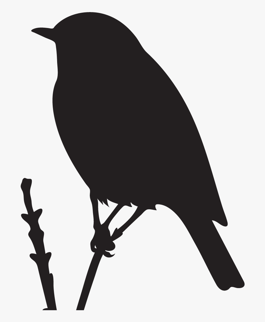 Eastern Bluebird Overview, All About Birds, Cornell - Bluebird Silhouette, Transparent Clipart
