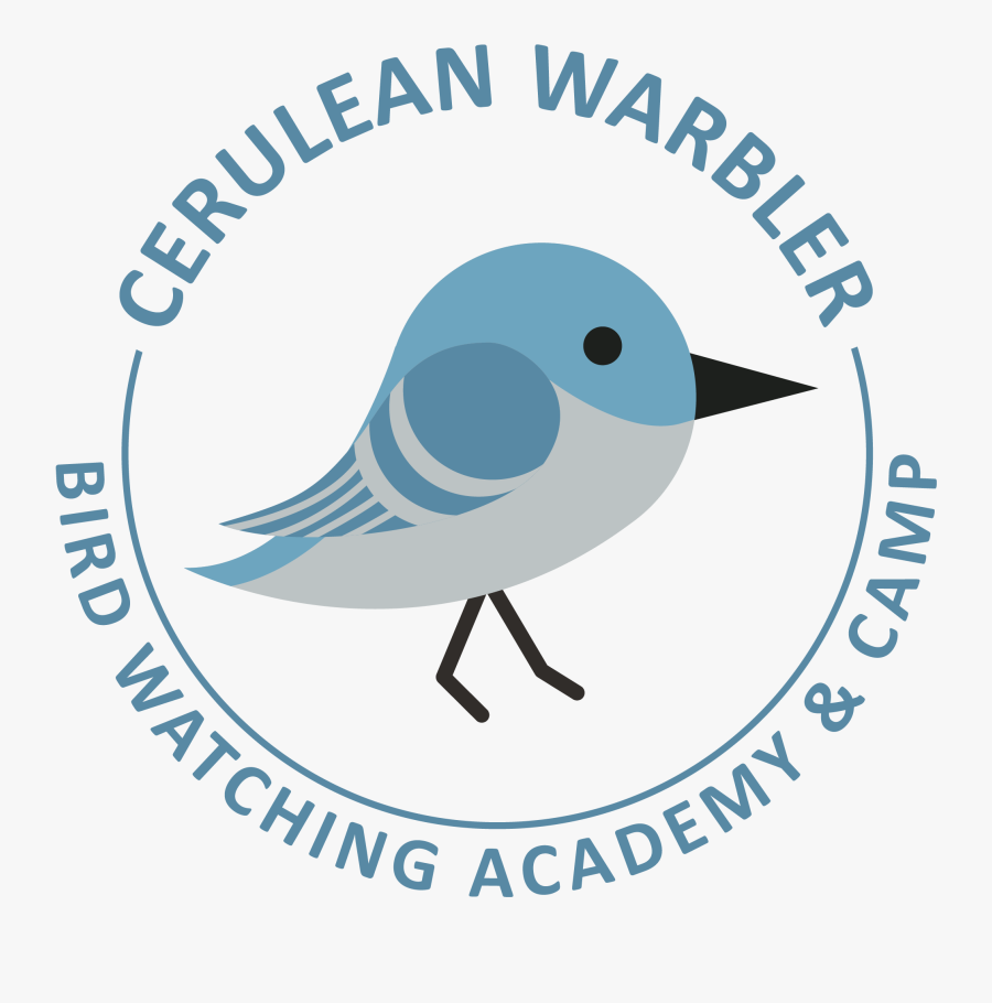 Mountain Bluebird Clipart , Png Download - Alle Alle, Transparent Clipart