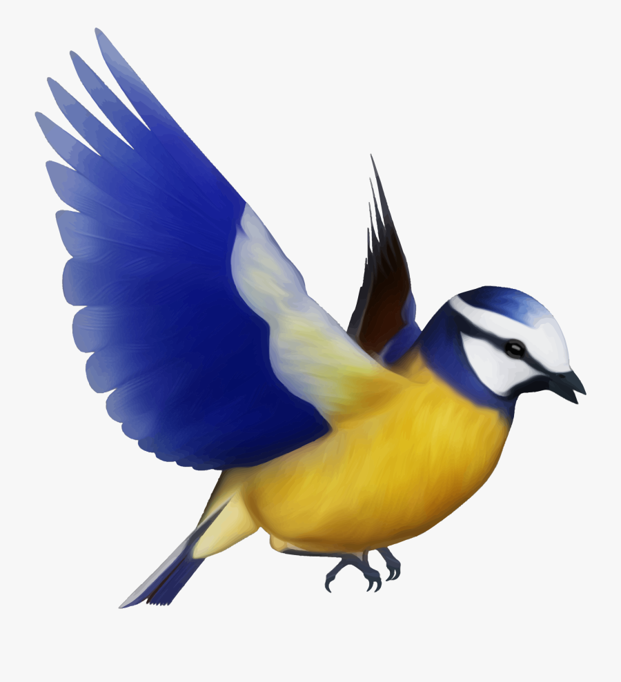 Bird,clip Art,blue Jay,green - Flying Birds, Transparent Clipart