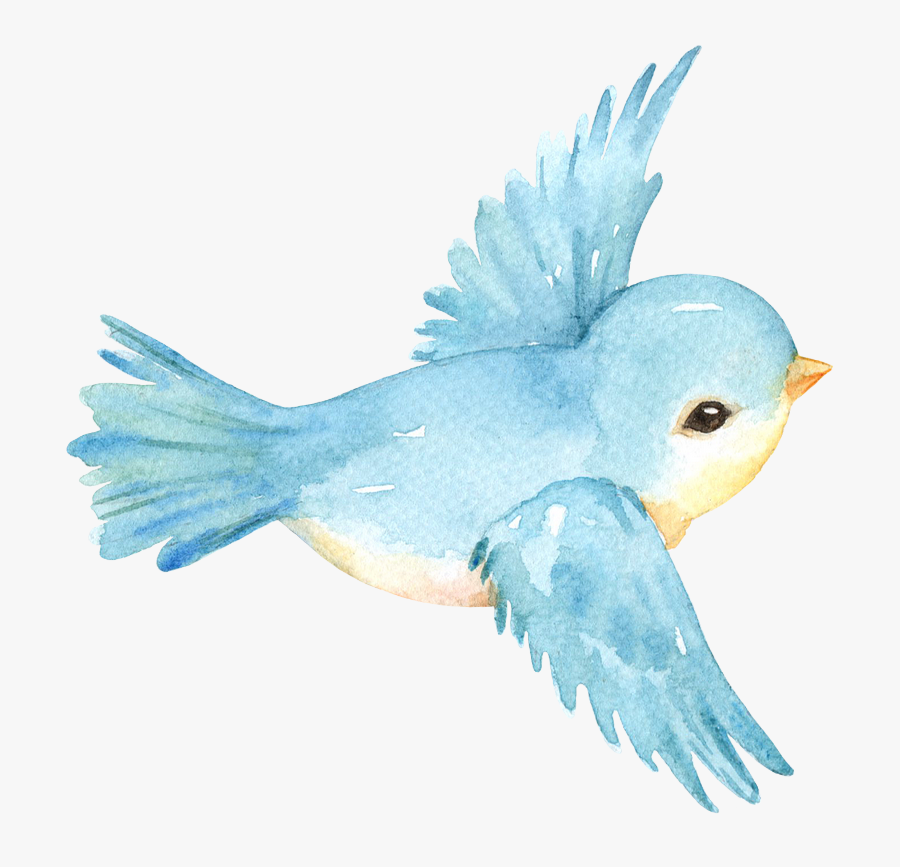 Transparent Blue Birds Png - Cockatoo, Transparent Clipart