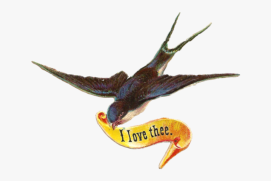Bird Scrap I Love Thee Png - Bird Carrying A Note, Transparent Clipart