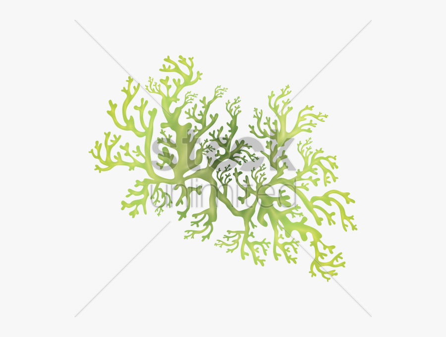 Underwater Clipart Underwate Grass, Transparent Clipart