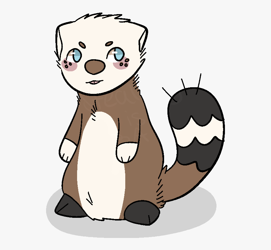 Black Footed Ferret Clipart - Ferret For Draw, Transparent Clipart
