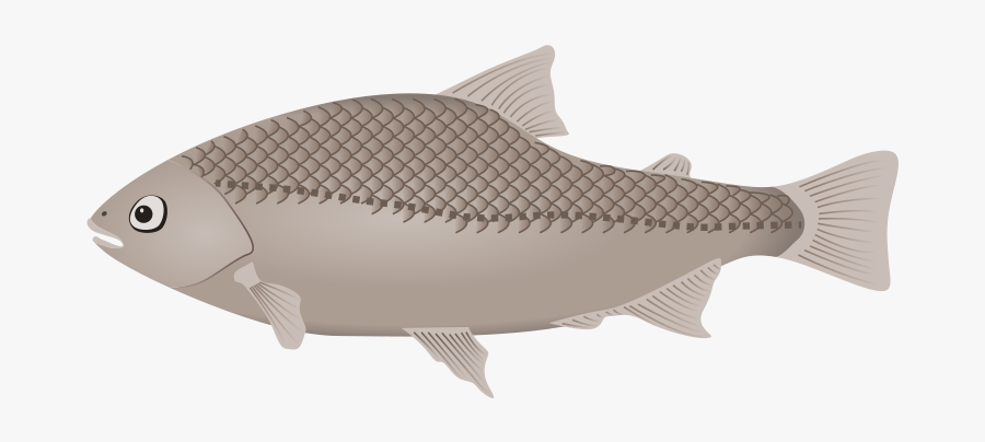 Goldfish Clipart Underwater - Clip Art, Transparent Clipart