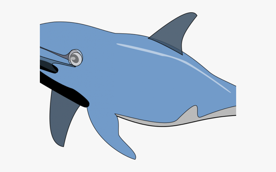 Water Animals Images Clipart, Transparent Clipart