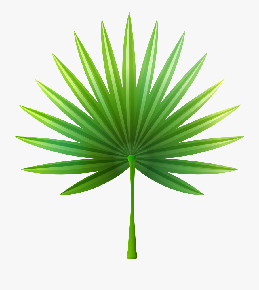 Underwater Clipart, Transparent Clipart