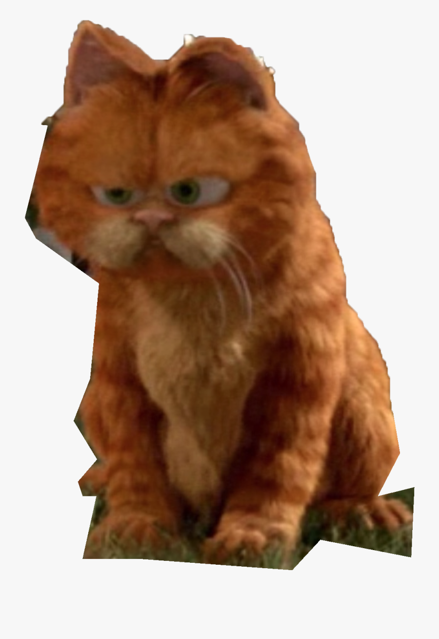 Garfield Cat Live Action, Transparent Clipart