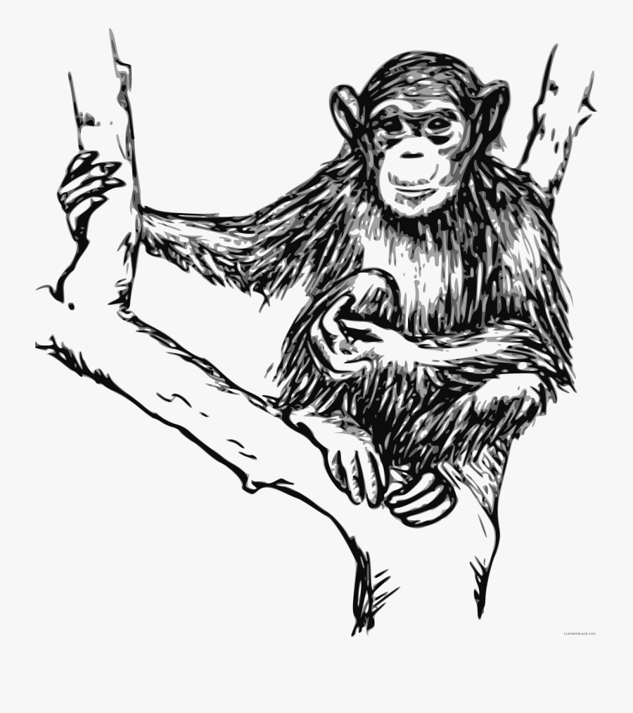 Garfield Turkey Clipart Black And White - Chimpanzees In Black And White, Transparent Clipart