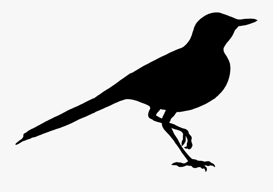 Wagblack Wagblack Wagblack Wagblack - Perching Bird, Transparent Clipart