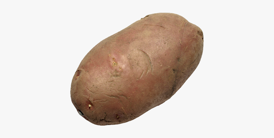 Png Images - Potato With Transparent Background, Transparent Clipart
