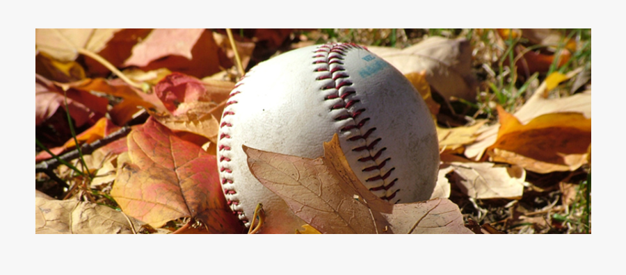 Fall Baseball, Transparent Clipart