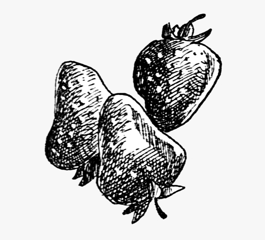 Public Domain Clipart - Illustration, Transparent Clipart