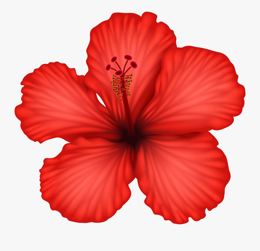 Clipart Transparent Background Hibiscus Flower, Transparent Clipart