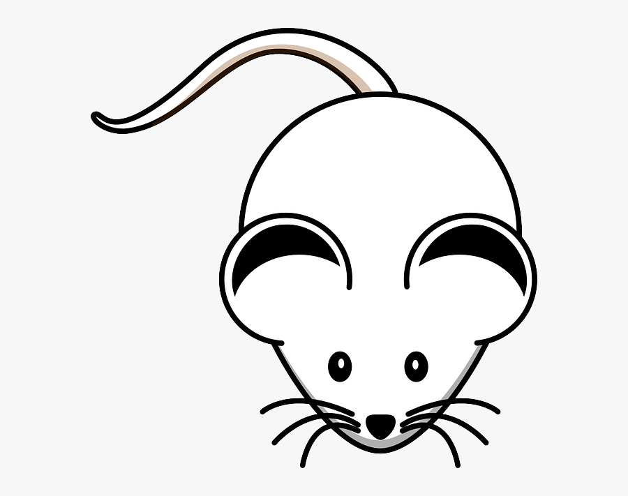 Mouse Clipart Black And White, Transparent Clipart