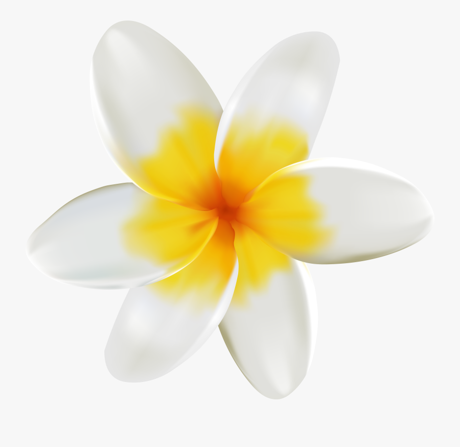 Yellow Flower Clipart Tropical, Transparent Clipart
