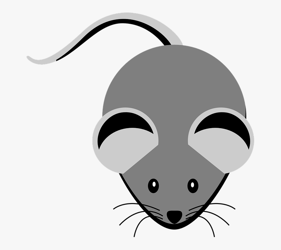 Mice Clipart Nose - Computer Mouse Clipart, Transparent Clipart