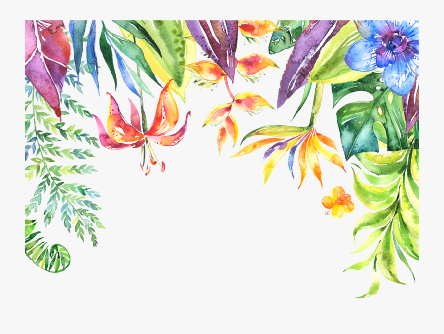 Tropical Leaves Flowers Plants Border - Tropical Flowers Border Png, Transparent Clipart