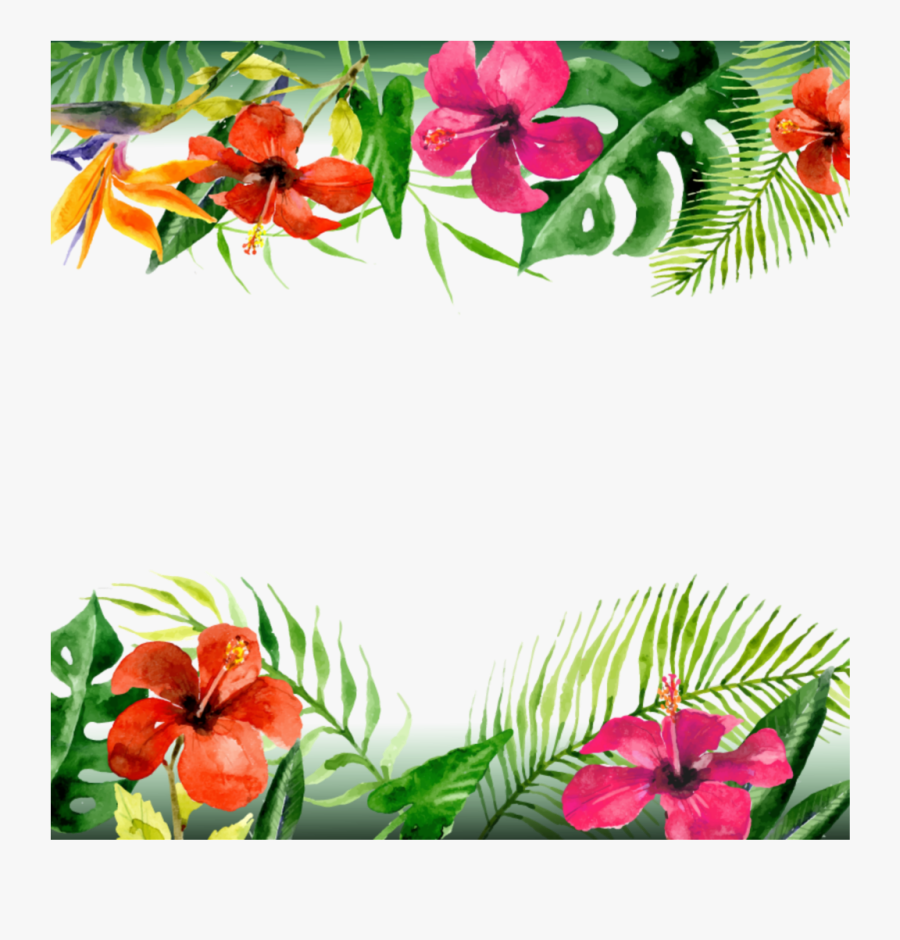 #mq #flowers #flower #tropical #border #borders - Hawaii Frame Png, Transparent Clipart
