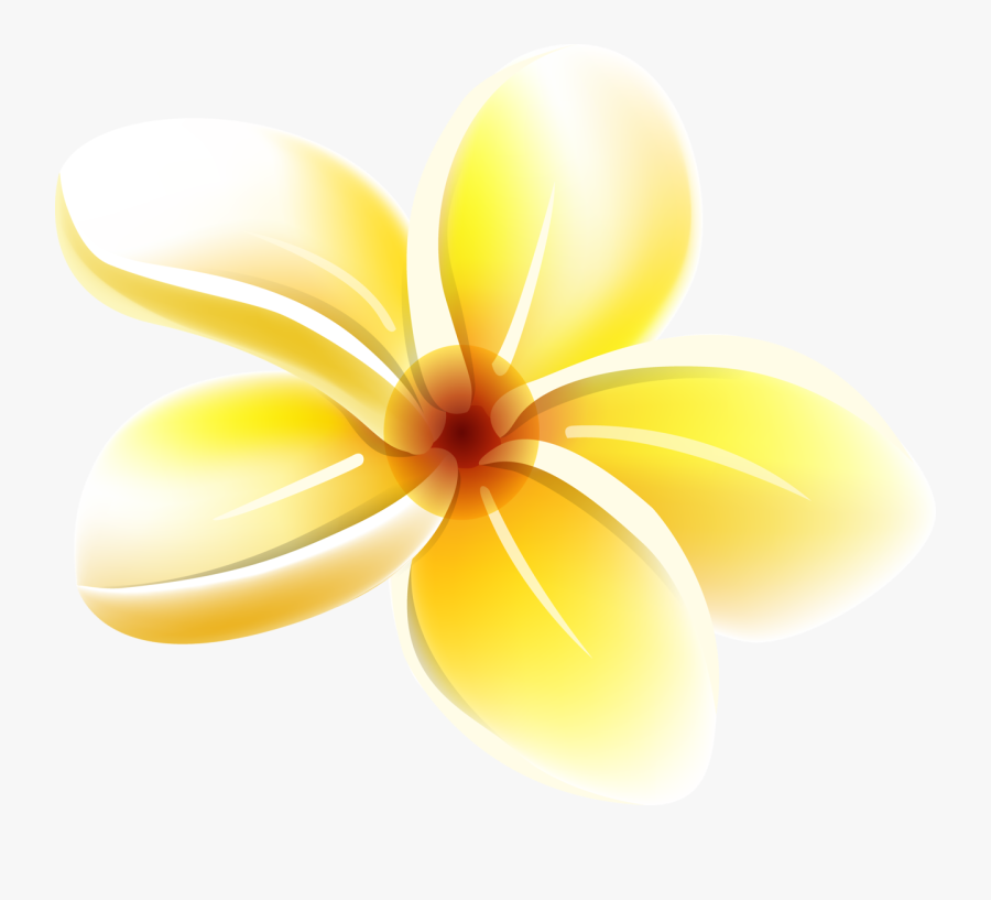 Tropical Flower Clipart, Havaianas, Art Pictures, Yandex - Frangipani, Transparent Clipart