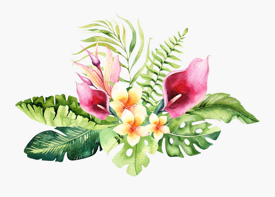 Tropical Flower Download Free Clipart With A Transparent - Watercolor Tropical Flowers Transparent Background, Transparent Clipart