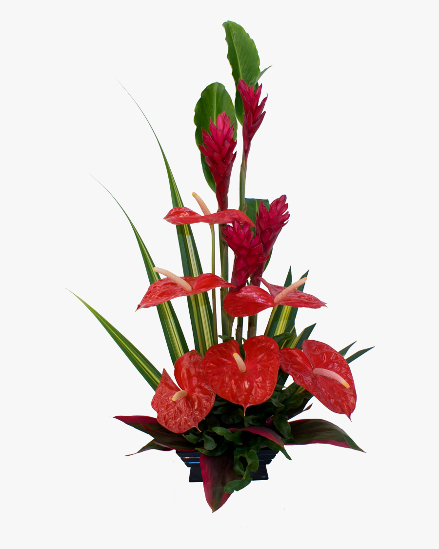Red Tropical Flower Arrangement - Anthurium Flower Arrangement Ideas, Transparent Clipart