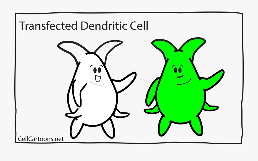 Clip Art Admin Author At Cell - Cartoon, Transparent Clipart