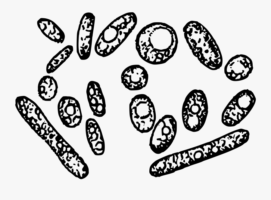 Line Art,monochrome Photography,text - Yeast Clipart, Transparent Clipart