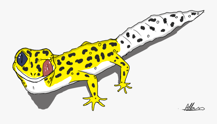 Leopard Gecko Cartoon - Leopard Gecko Drawing Easy, Transparent Clipart