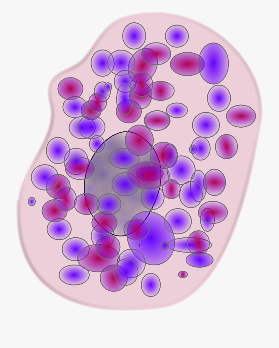 Mast-cell Clip Arts - Celula Cebada O Mastocito, Transparent Clipart