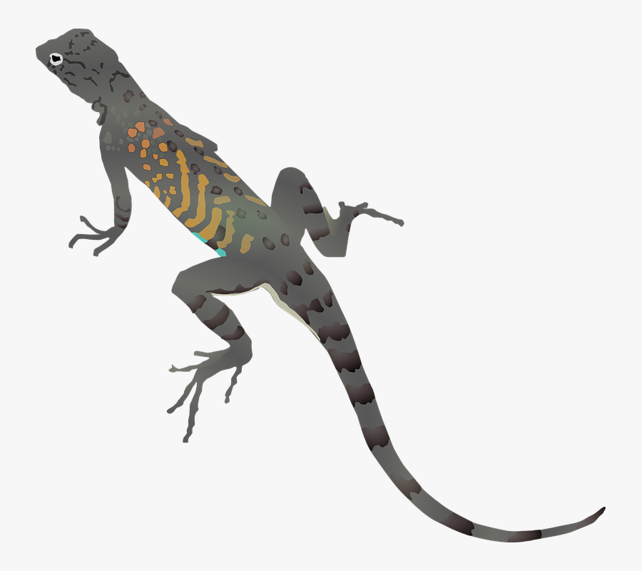 Cartoon Dragon Drawing Lizard Gecko Dragon Animal Drawing - Lizard Clipart, Transparent Clipart