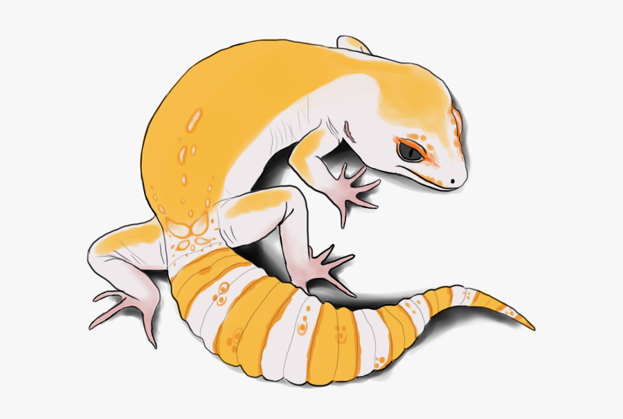 Leopard Gecko Clipart Sketch - Leopard Gecko Drawing Mean, Transparent Clipart