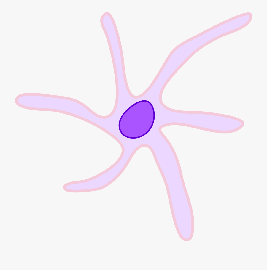 Cell Clipart Dendritic Cell - Starfish, Transparent Clipart