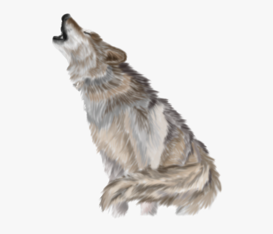 White Wolf Clipart Translucent - Wolf Png Transparent, Transparent Clipart