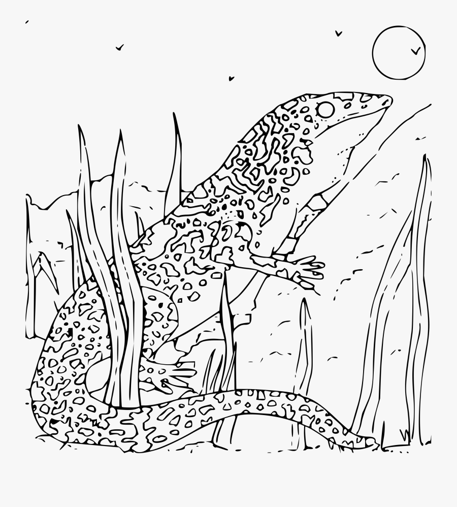 Coloring Book Monitor Gecko Svg Clip Arts - Gecko Coloring Page, Transparent Clipart
