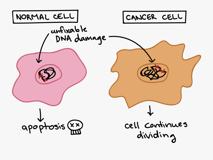 Transparent Cancer Cell Png - Draw A Cancer Cell, Transparent Clipart